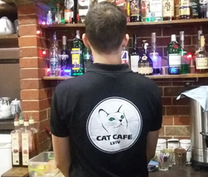 戦火の中でも営業を続けるウクライナの猫カフェ「リヴィヴ」